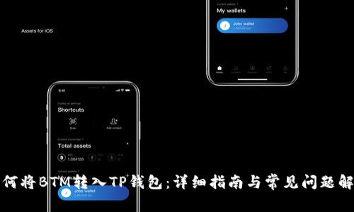 如何将BTM转入TP钱包：详细指南与常见问题解答