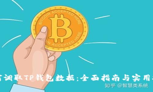 如何调取TP钱包数据：全面指南与实用技巧